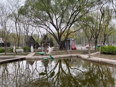 -枫花园汽车电影院(朝阳公园店)