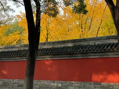 -北京国子监胡同