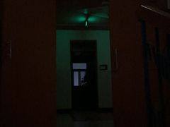 -上海市民办金苹果学校