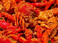 -杨氏青龙虾·羊蝎子(珠江路店)