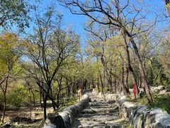 -阳台山自然风景区