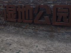 -东郊湿地公园