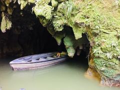 -怀托摩萤火虫洞