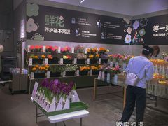 -龙湖成都上城天街