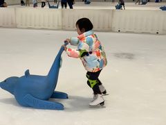 -TheRink大零溜冰场(IFS国金中心店)