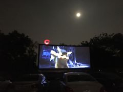 -枫花园汽车电影院(朝阳公园店)