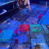 😍潮兴旺海鲜酒楼 | 一口鲜到灵魂的宝藏地