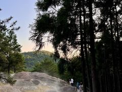 -玉苍山国家森林公园