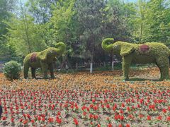 -长白岛森林公园