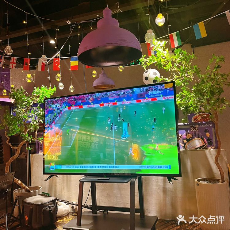 看欧洲杯,吃烧烤,美滋滋~