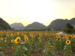 -云漫湖生态度假公园