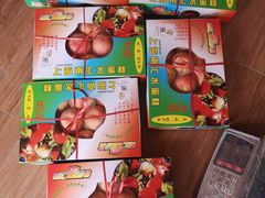 -南汇新场正宗水蜜桃采摘