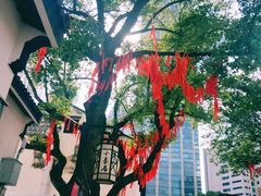 -眞宗·椰汁是大王(小娄巷店)