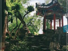 -莲湖公园