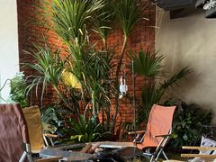 -J Create城市露营咖啡·简餐·宠物(上海动物园店)