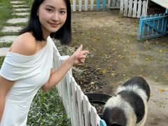 -东南花都花博园