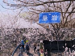 -四明山国家森林公园