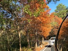 -南京市无想山景区
