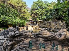 -燕塞湖鸟语林景区