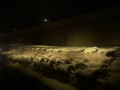 -汉景帝阳陵博物院