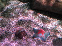 -沈阳海洋探索中心