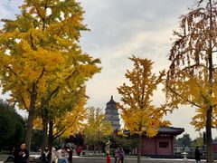 -大雁塔北广场音乐喷泉