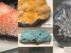-天津自然博物馆