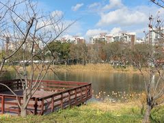 -新江湾城公园