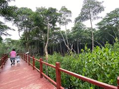 -东寨港红树林旅游区