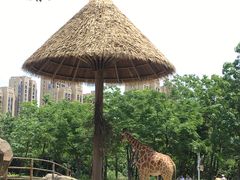 -南昌动物园