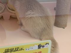 -龙湖南京江北天街