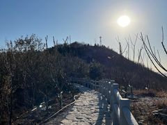 -北京西山国家森林公园