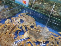 水产区-东江海鲜酒家(艺都分店)