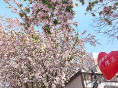 -五大道风景区-常德道孟氏旧居