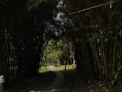 -桐乡植物园