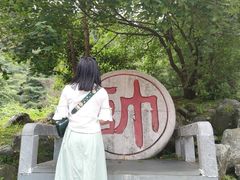 -苍山感通索道