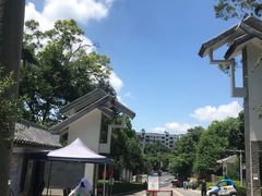 -三门江国家森林公园