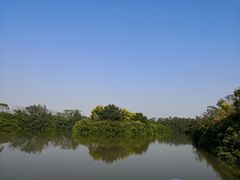 -大湾区中央湿地公园
