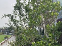 -小河盐帮·私家菜·烤鸭(三元桥·霄云路店)