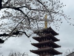 -浅草寺