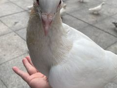 -IPARK购物中心