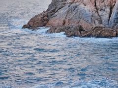 -广东惠东海龟国家级自然保护区