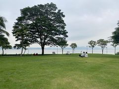 -深圳湾公园(南山区)