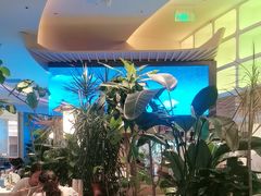 -桂满陇·蟹黄小笼汤包(清河万象店)