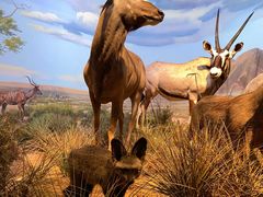 -贝林大翅鲸简餐厅(国家海洋博物馆店)