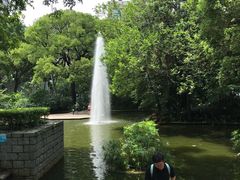 -九龙公园