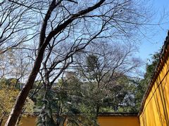 -西园戒幢律寺