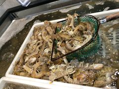 -盒马鲜生(王府广场店)