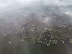 -哈尔滨大剧院
