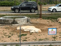 -秦皇岛野生动物园